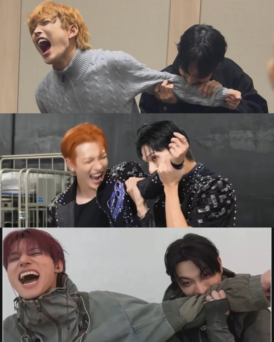 TOPAZ BITING EACH OTHER 🤣🤣🤣🤣