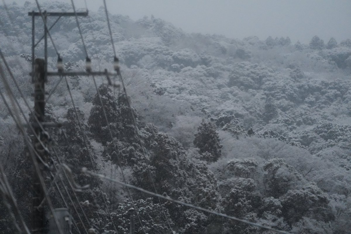 Lossiman tweet media