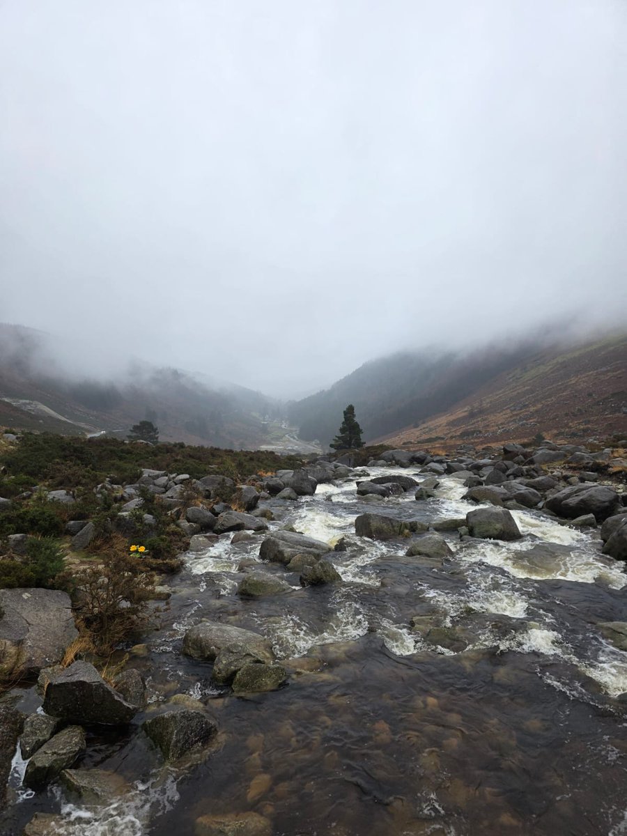 BDuffma's tweet image. #100daysofwalking 🟡🔵🖤🤍💚💛  ⚪️⚫️.💙