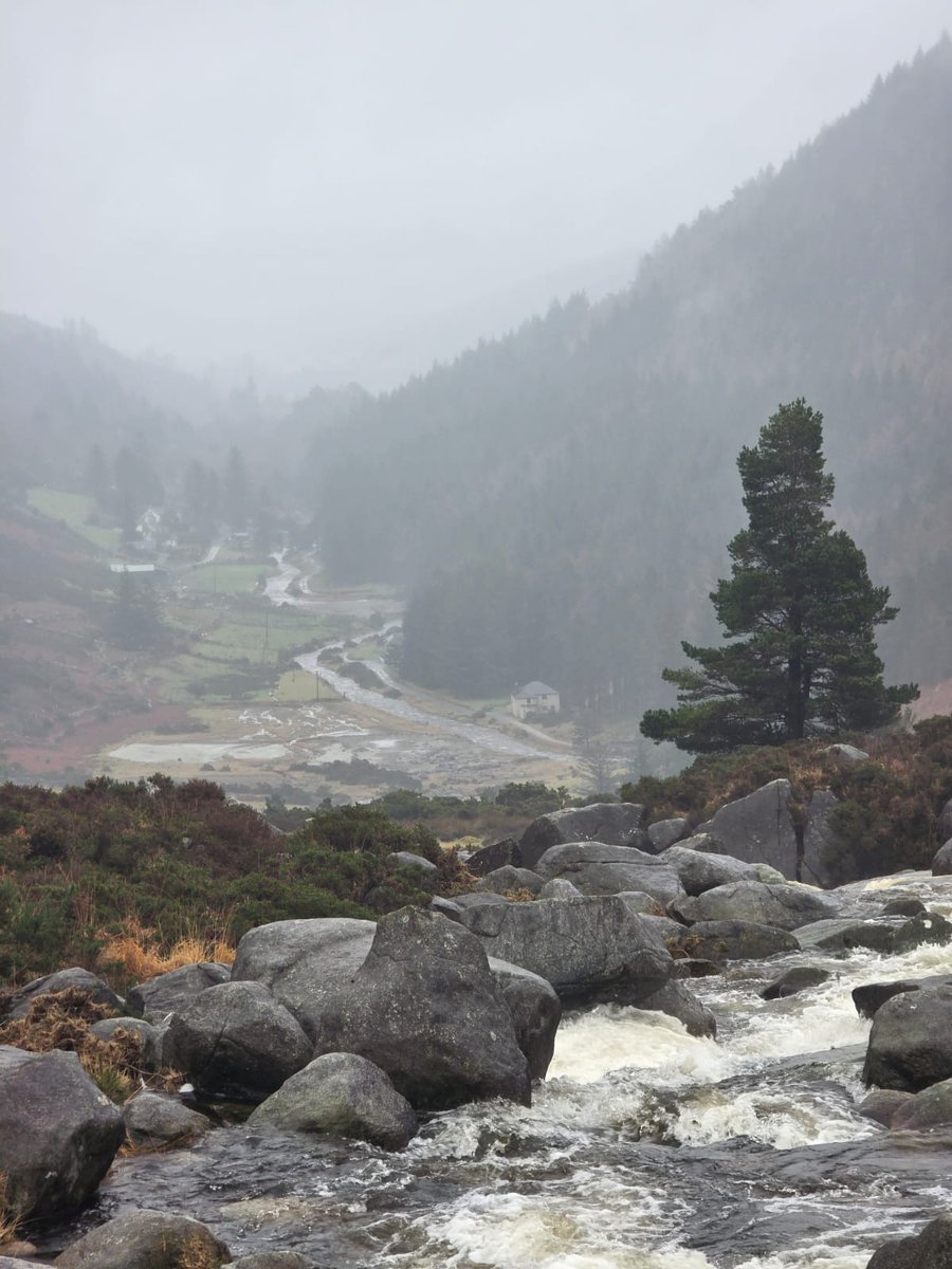 BDuffma's tweet image. #100daysofwalking 🟡🔵🖤🤍💚💛  ⚪️⚫️.💙