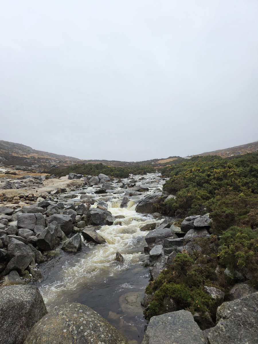 BDuffma's tweet image. #100daysofwalking 🟡🔵🖤🤍💚💛  ⚪️⚫️.💙