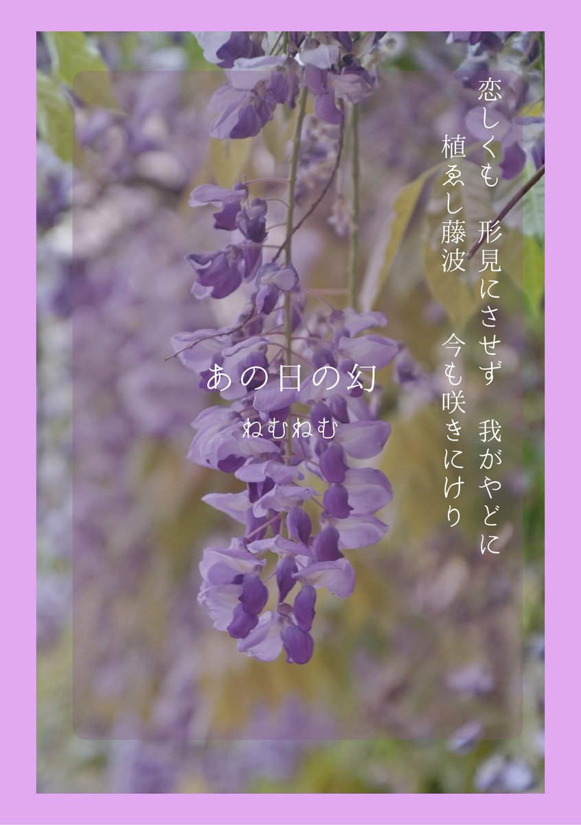 sukinakari's tweet photo. 参加させていただきました！
『03.あの日の幻』

#ぱいんワパレ2026
(2/6) https://t.co/AisZtECY57