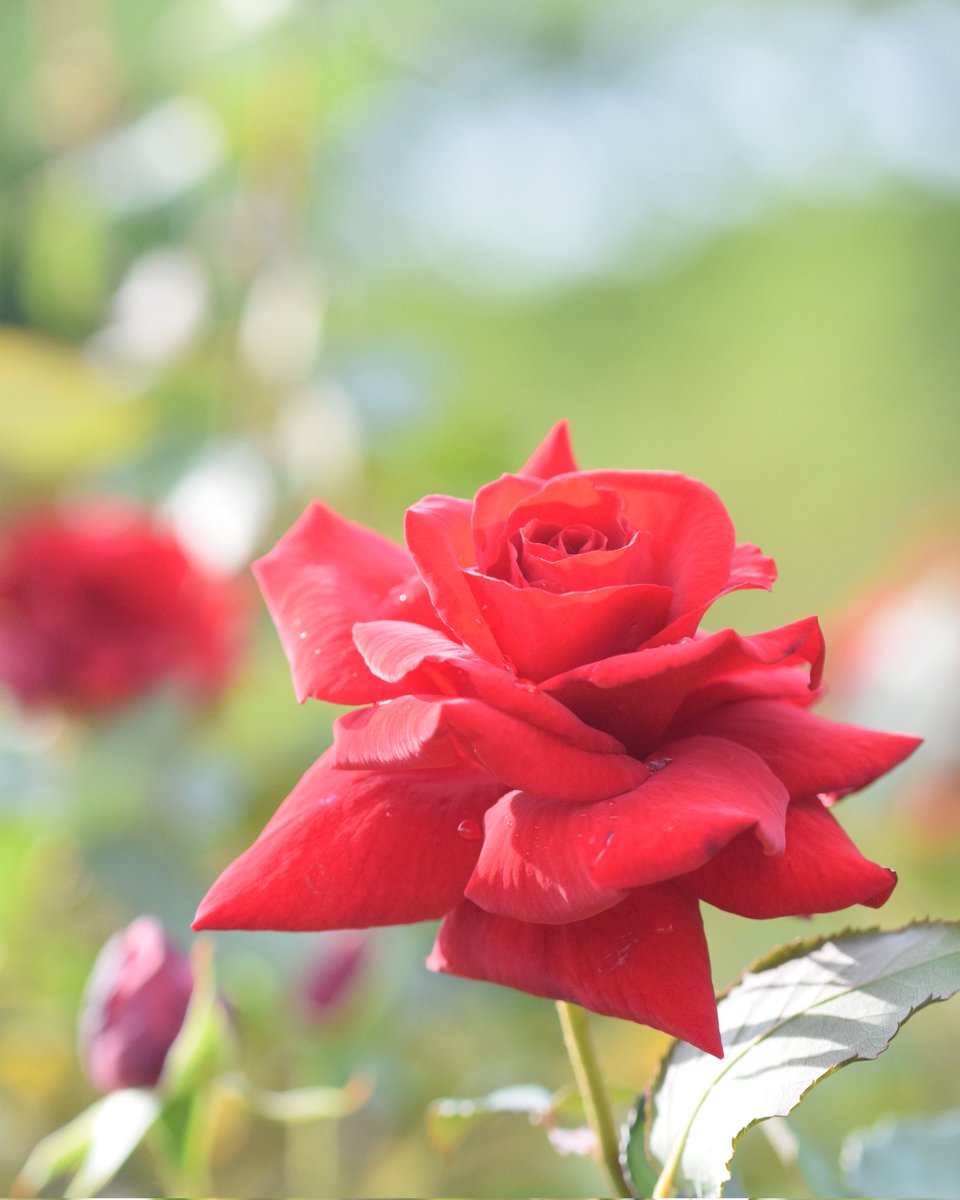 ロバ…✨プライベート (@M3Fun2) / Posts / X