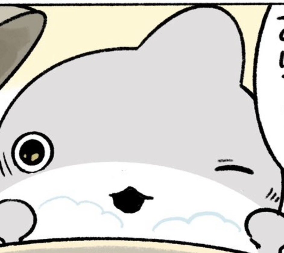 語るまでもない かわいい #おでかけ子ザメ #ベビー子ザメ