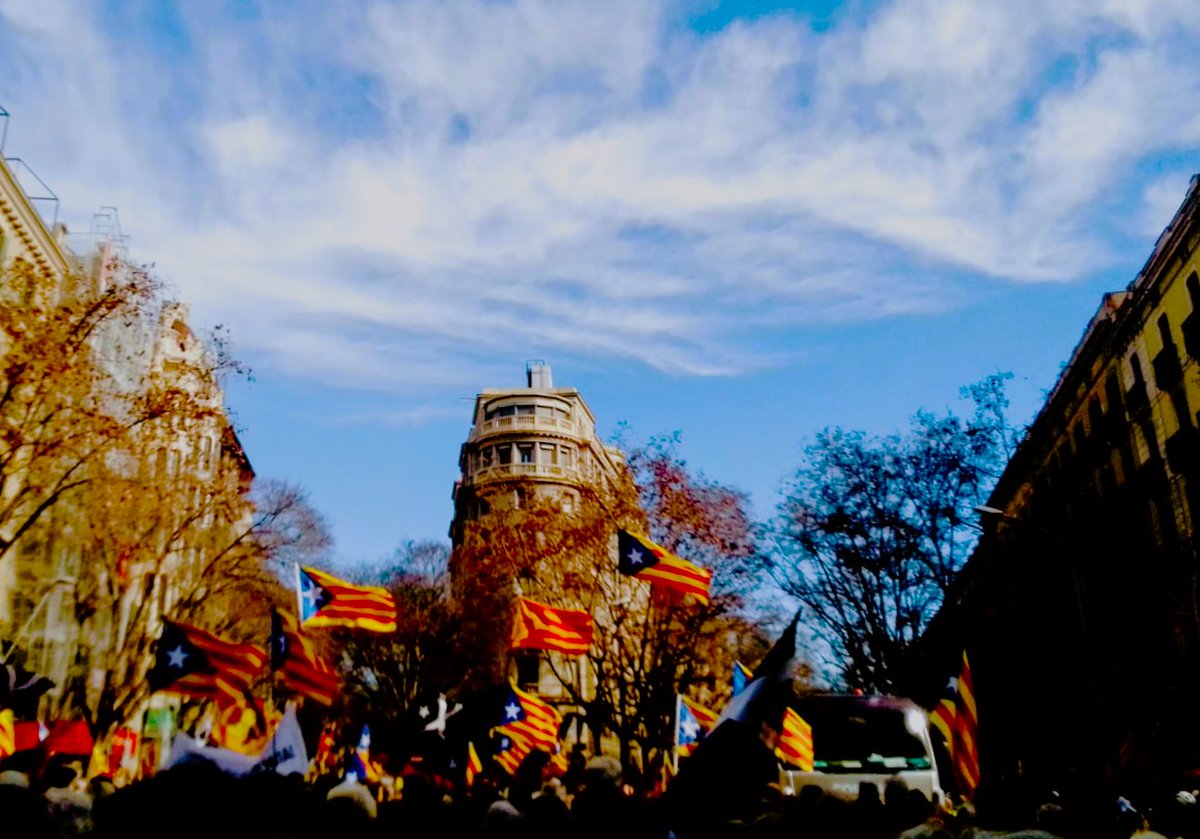 JoanC Otger57 tweet media