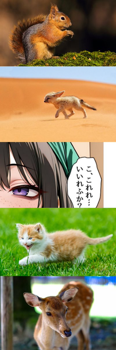 sopazugu1973's tweet image. これれいいれふか？　(1/8)