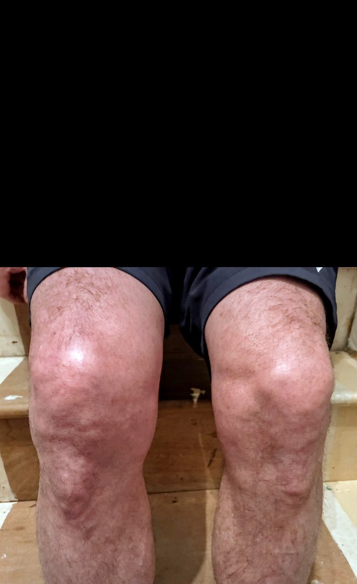 Rick Maiden tweet media