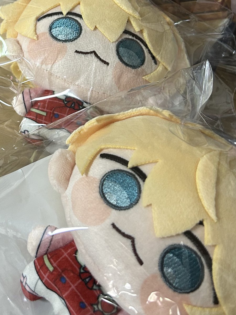 お迎えしてしまいました…😭🙏