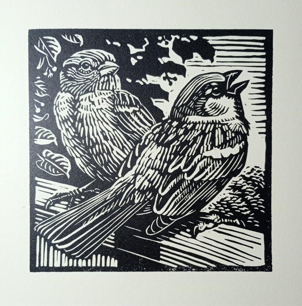 richardallenart's tweet photo. Some cheery garden bird #linocuts on this dreary Saturday
@mallgalleries https://t.co/KOQaI6PKEC