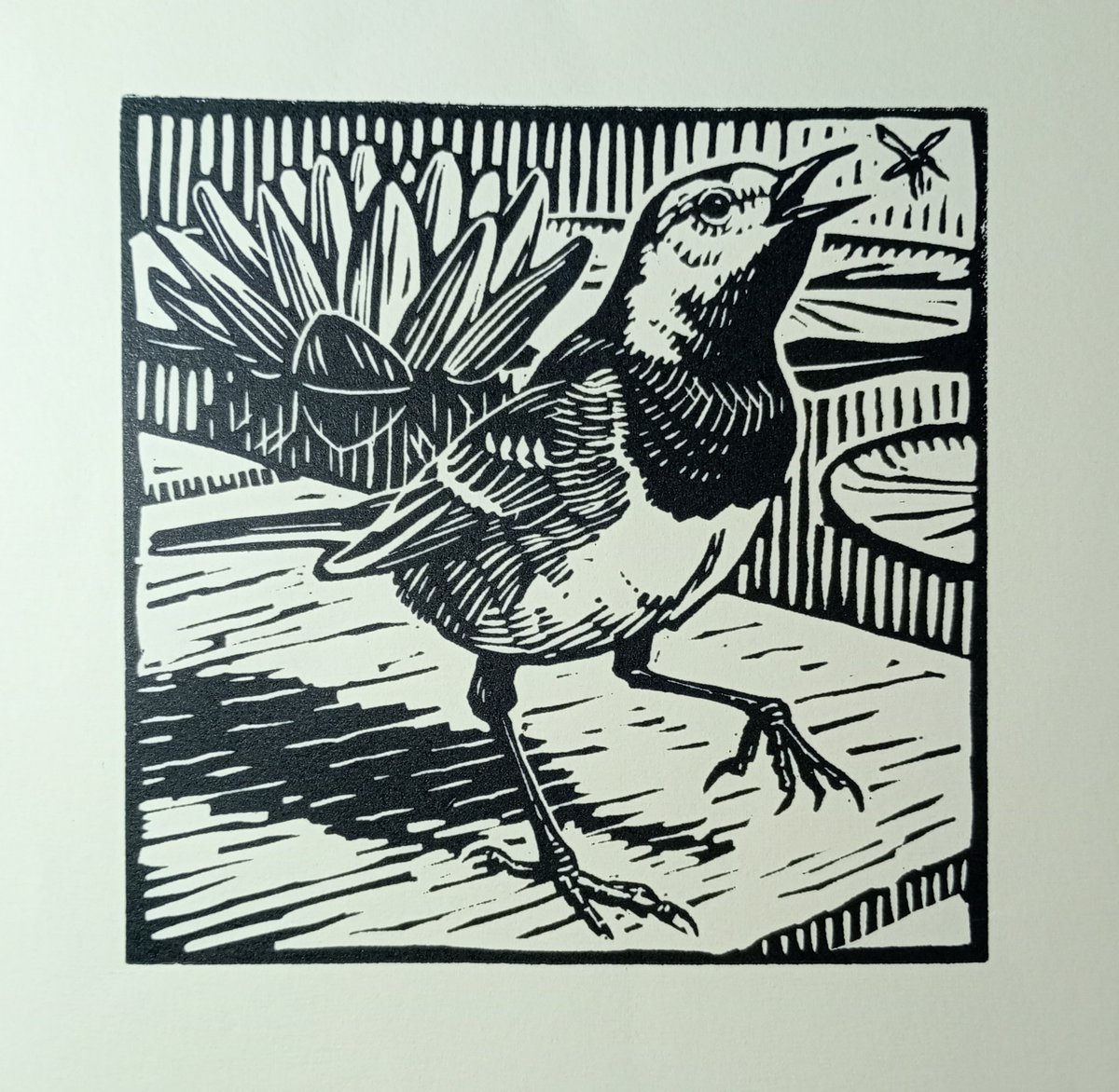 richardallenart's tweet photo. Some cheery garden bird #linocuts on this dreary Saturday
@mallgalleries https://t.co/KOQaI6PKEC