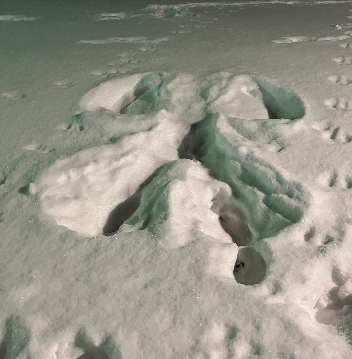 Robert Allison tweet media