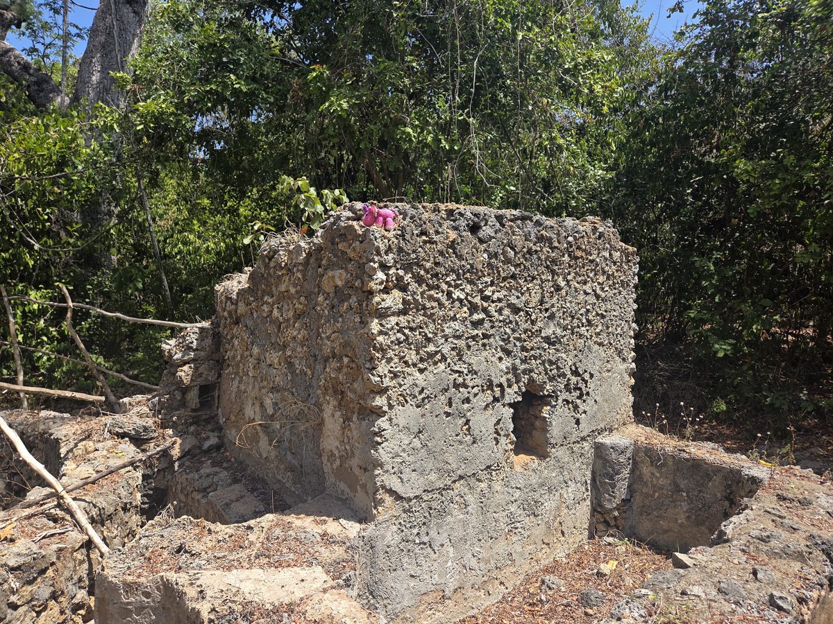 Fridolin tweet media