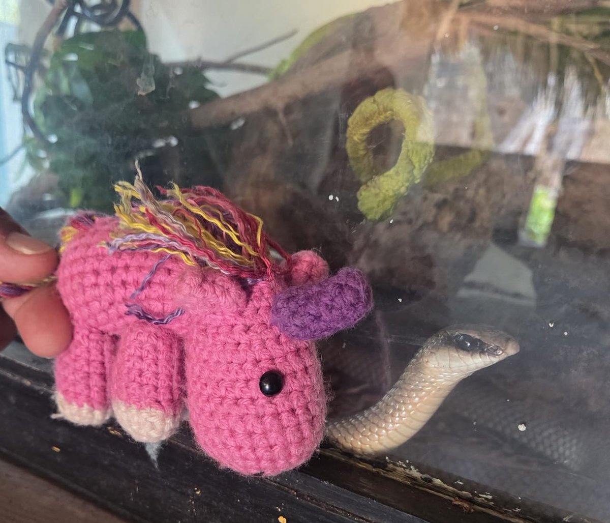 Fridolin tweet media