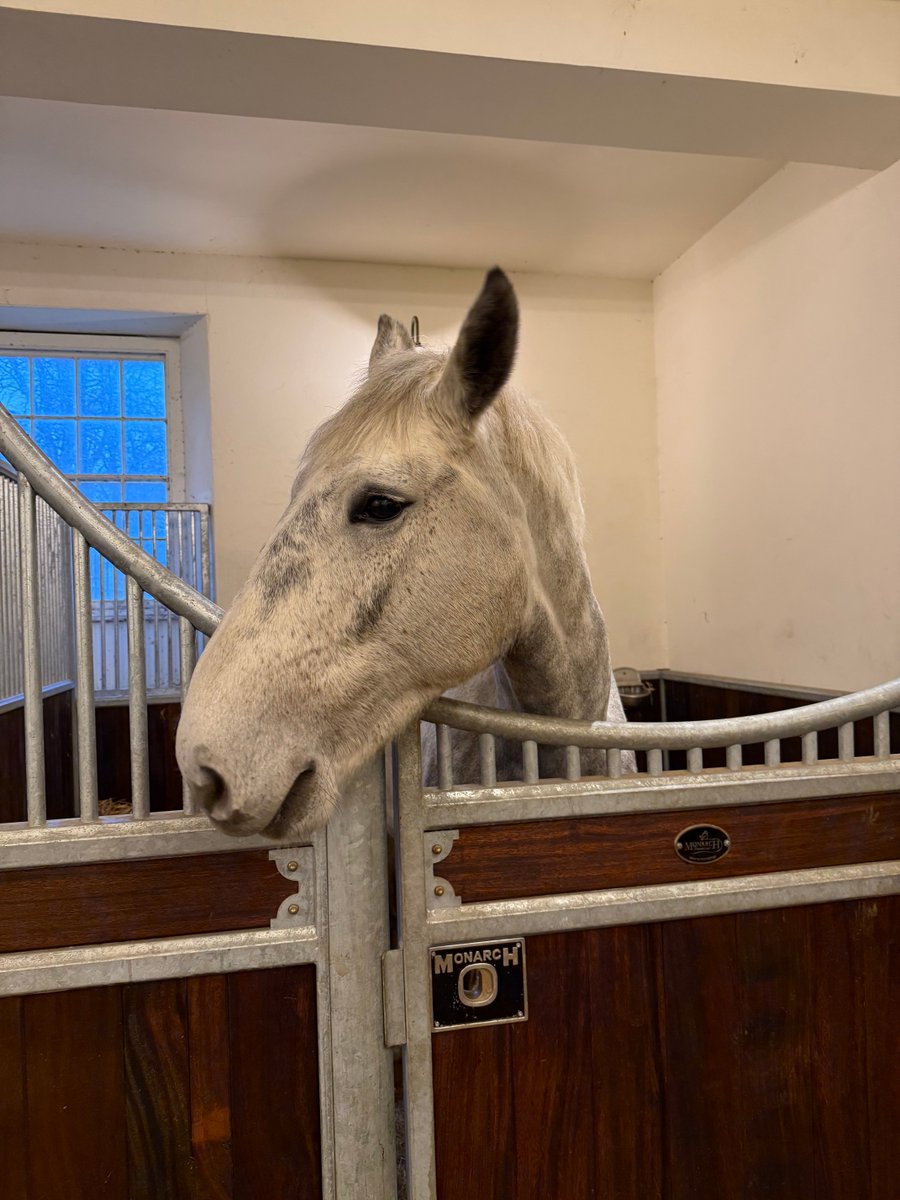 Charles Spencer tweet media