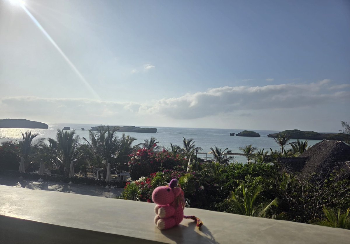 Fridolin tweet media