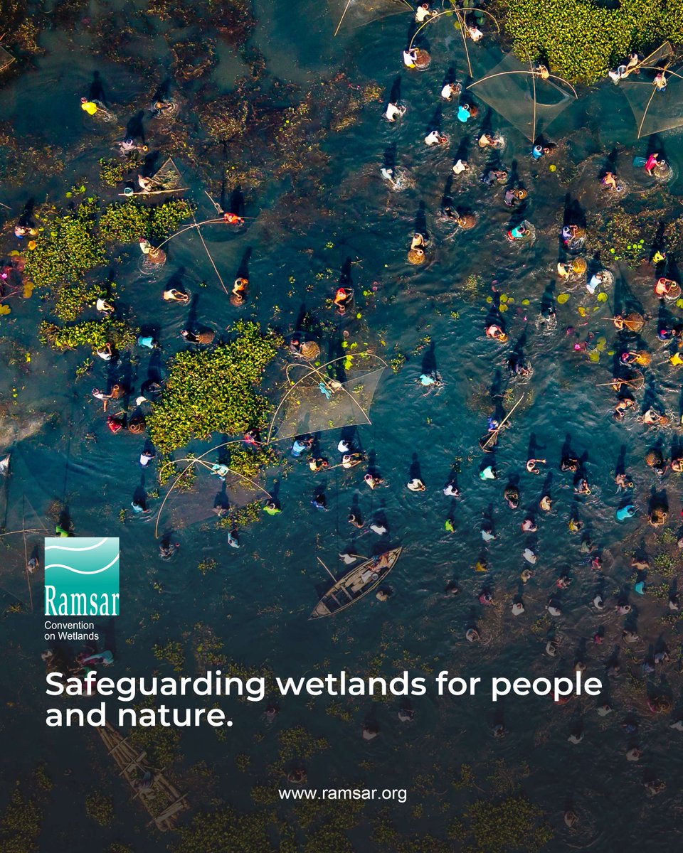 🍀 Wetlands are the lifeline of our planet, nourishing ecosystems, sustaining communities and fueling economies. 

🌊 Yet, despite their critical importance, freshwater ecosystems are among the most threatened on Earth. 

#WetlandsMatter #WaterIsLife