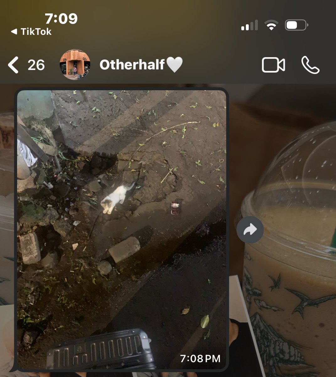 when we are both cat lovers 🐱