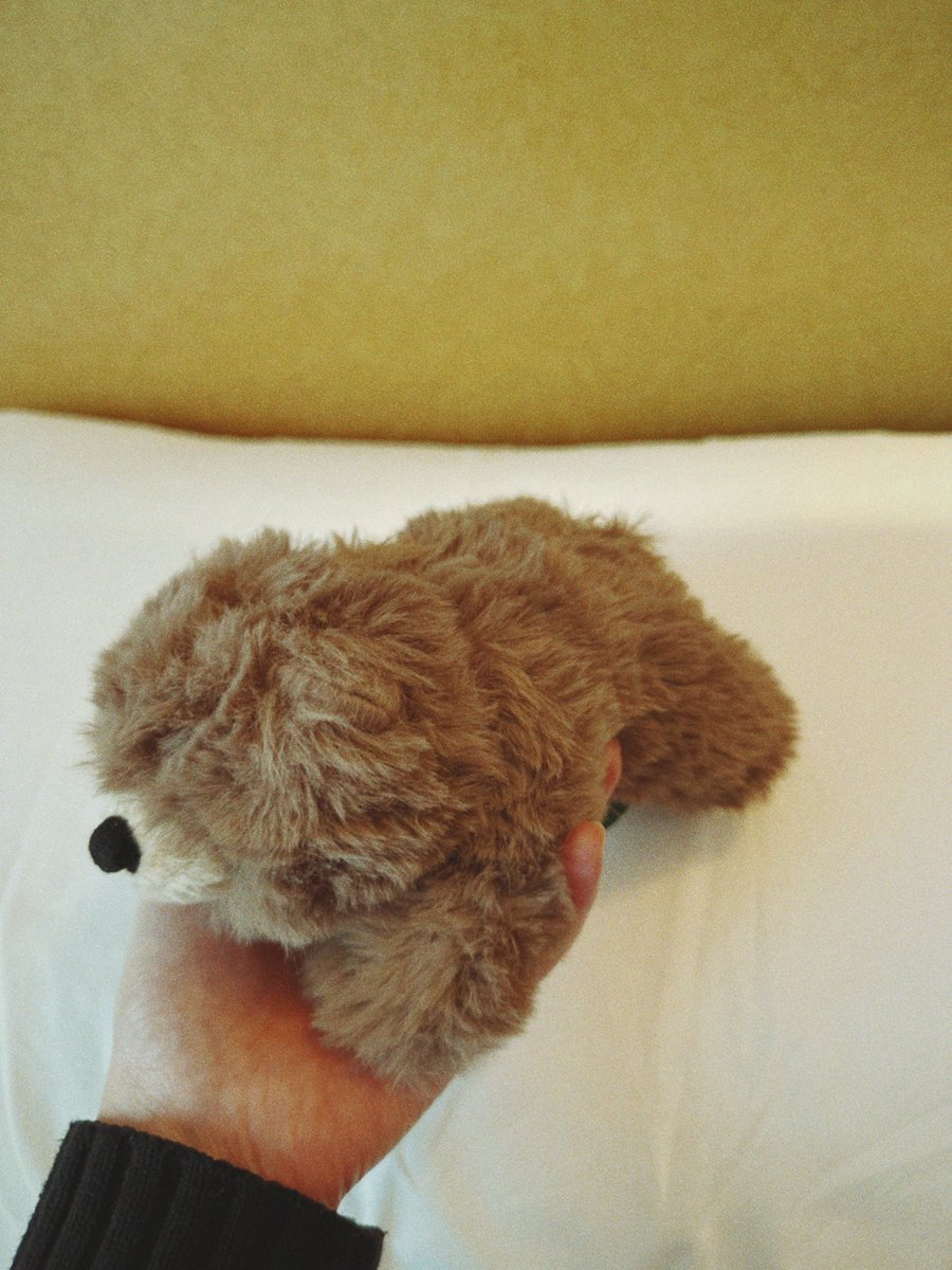 旅先の土産コーナーで自分にぬいぐるみを買ってしまった