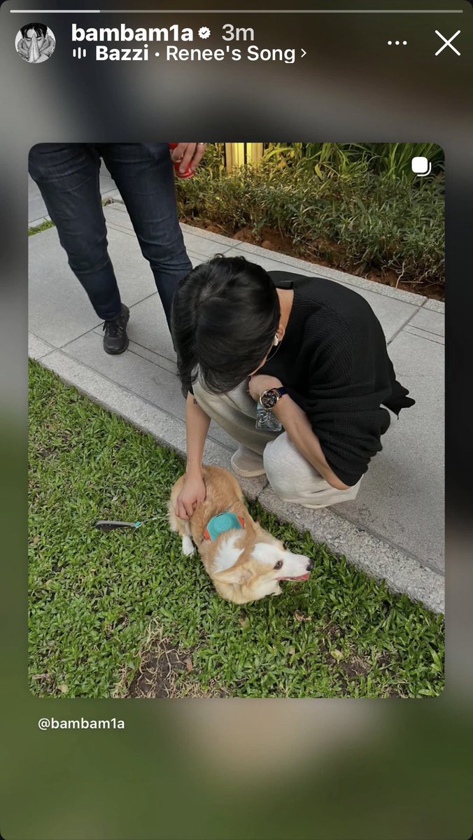 คุณเค้าเล่นเกมส์บุกแล้วหละท่าทาง มี ig กี่แอค เอาออกมาลุยไปกับท่านกันค่ะสาวๆ 💪🏻

#BamBam