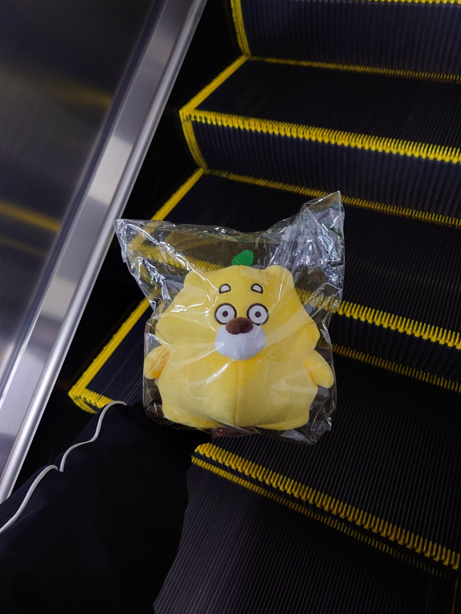 パブリックビューイングの帰りにひろくまのぬいぐるみ売ってて買ってしまった。
かわいい