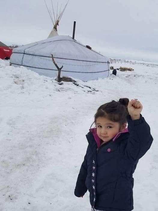 proud_nativeamerican__ tweet media