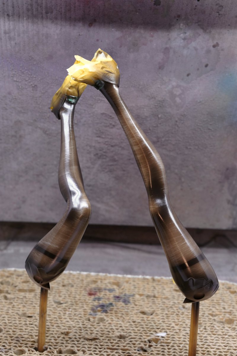 【 こんばんは 】(^o^) 🦫 tweet media