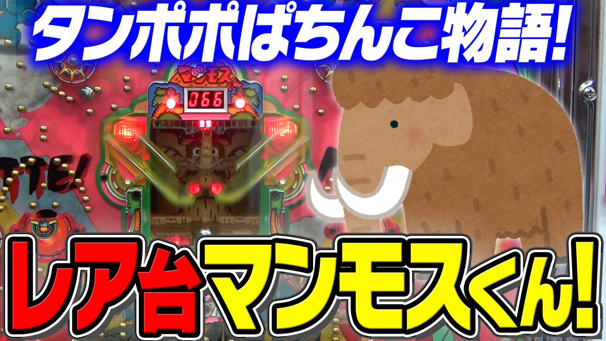 ❤️タンポポ様❤️ 公式】ゲームセンタータンポポ (@game_tanpopo) / Posts / X