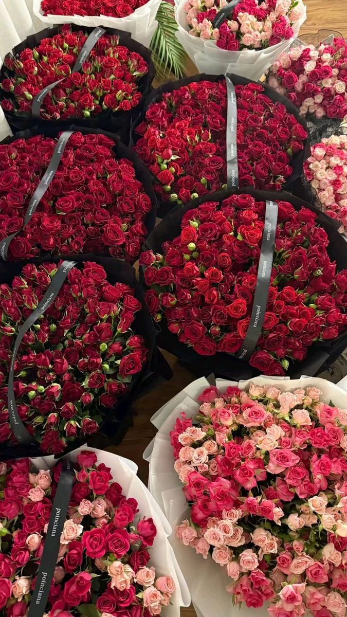 luscious1738's tweet photo. حُب و ورٌد https://t.co/llLXQcdfaX