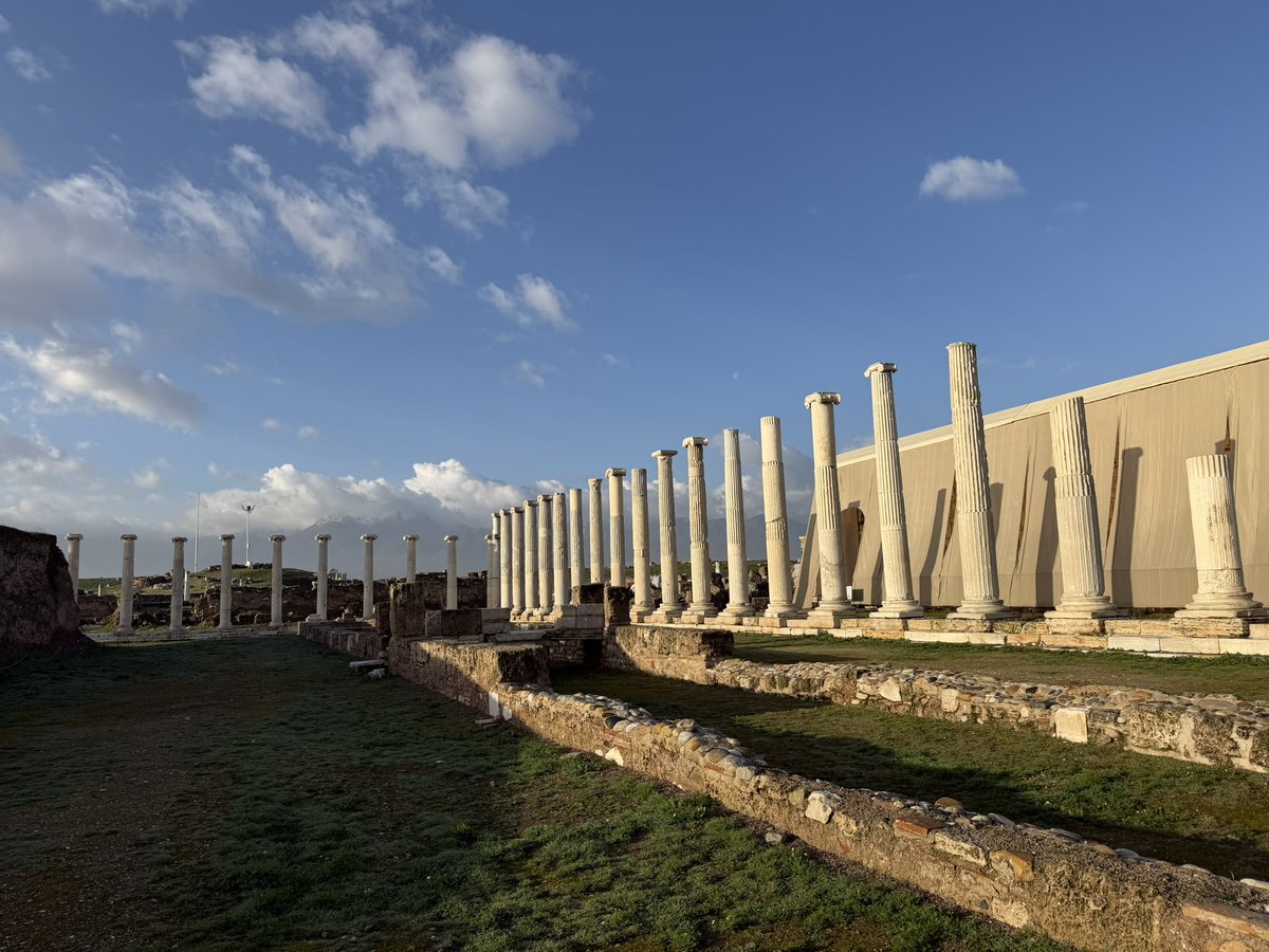 Celal Şimşek tweet media