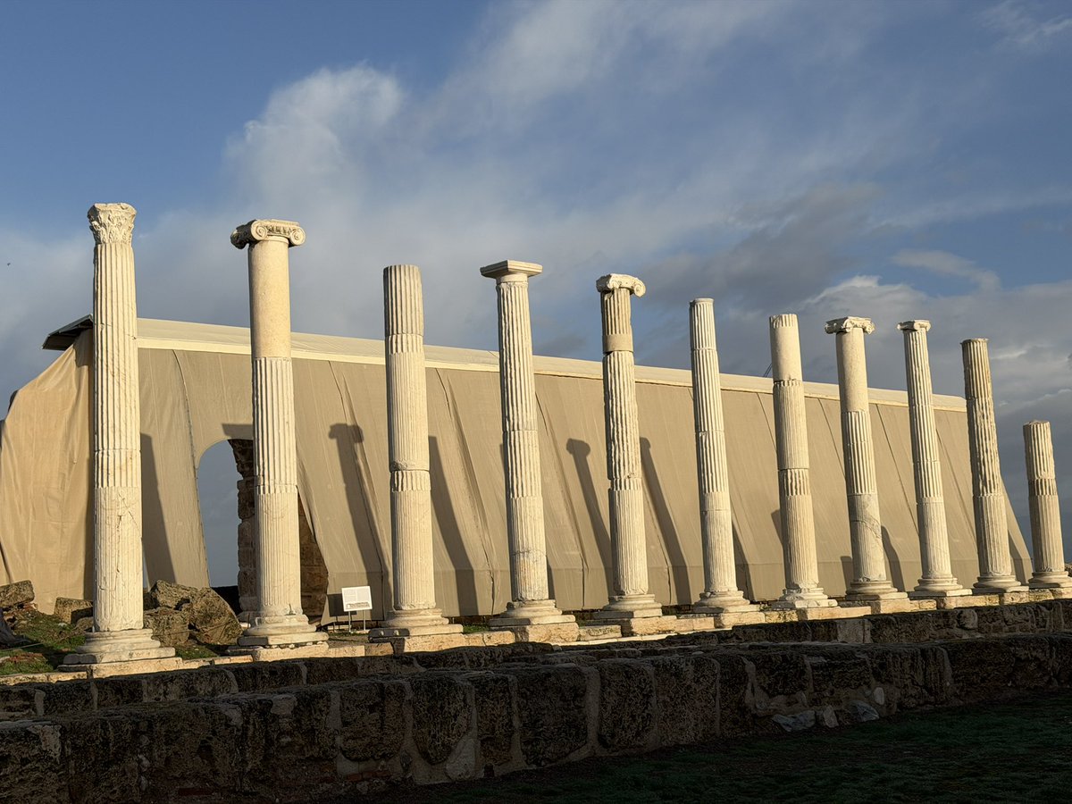 Celal Şimşek tweet media