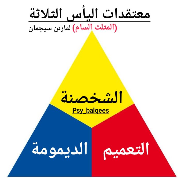 بلقيس السراجي. tweet media