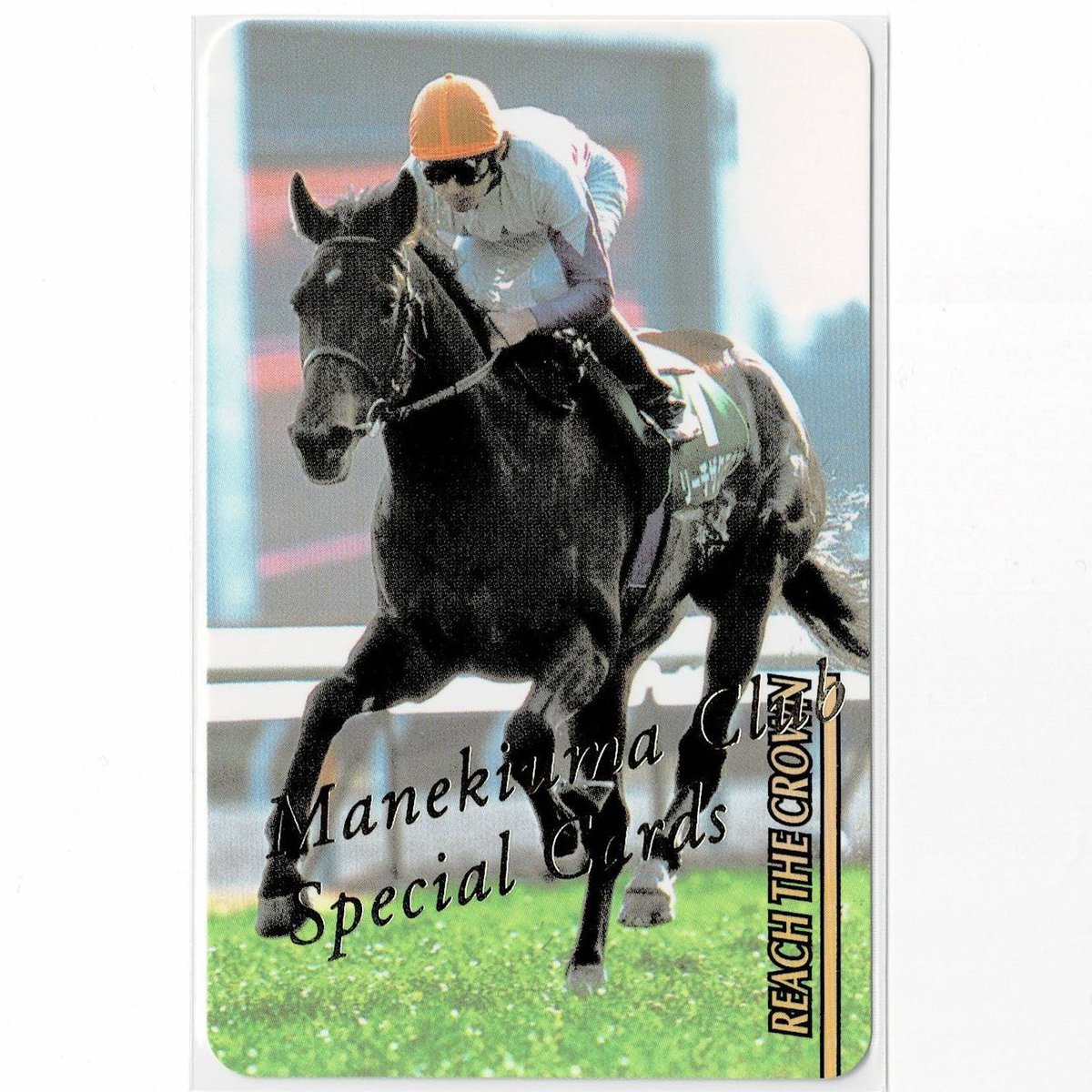 鬣 (@Purple_Mane) / Posts / X