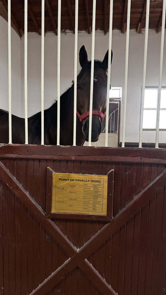 OptimumStud's tweet image. Karantina süreci sonrası bugün Point of Finally i yerinde gördük.
Bakımı, sağlığı ve kondisyonu bizi fazlasıyla memnun etti.
Emekleri için TJK İzmit Pansiyon Hara’daki tüm personele teşekkür ederiz.
@pointoffinally @_TJK_