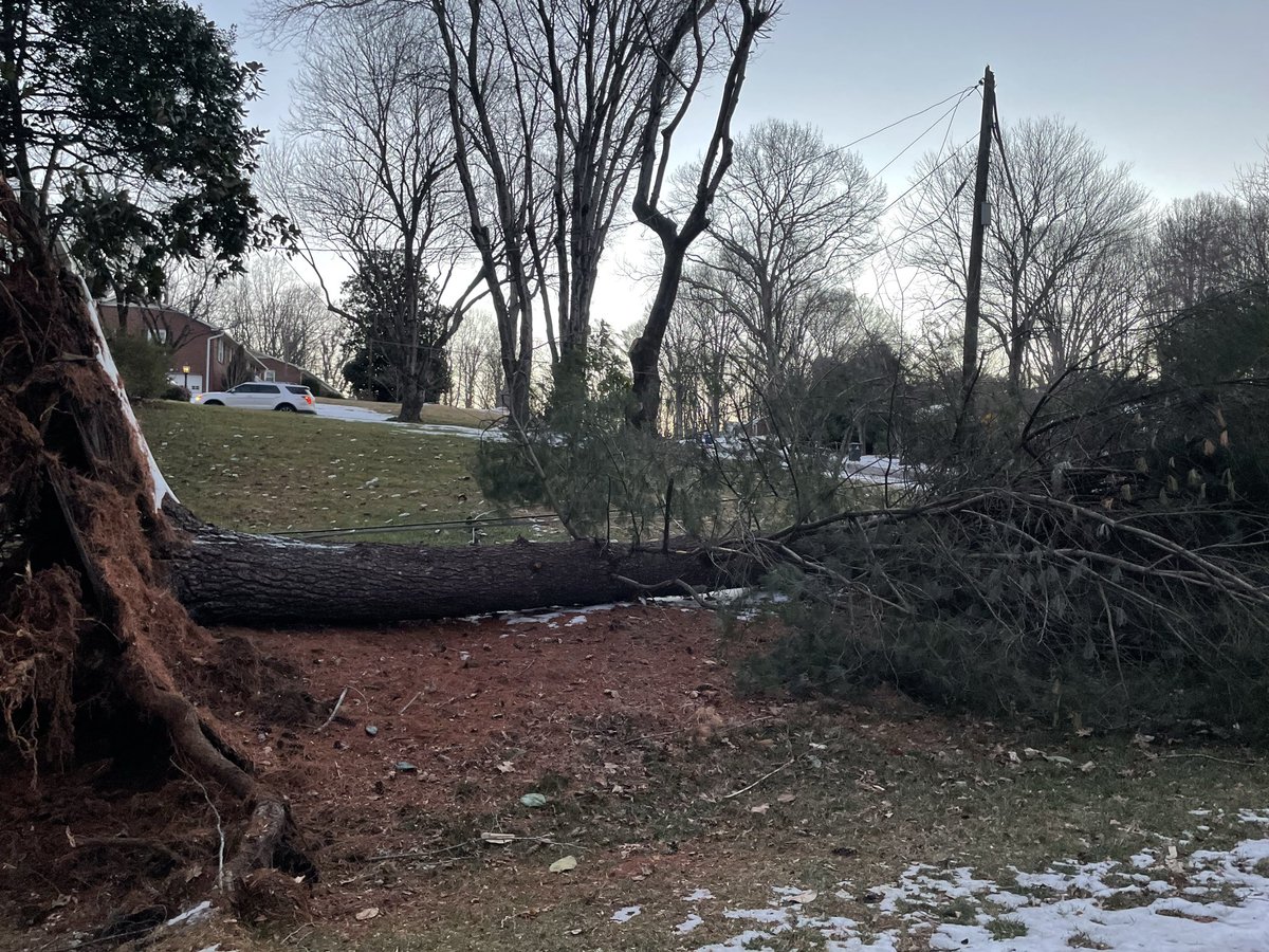 cityofwsfire's tweet image. ⚠️ Strong winds are moving in today along with colder air. WSFD are already out responding to downed trees and power lines. Please stay alert and safe. #WSFire