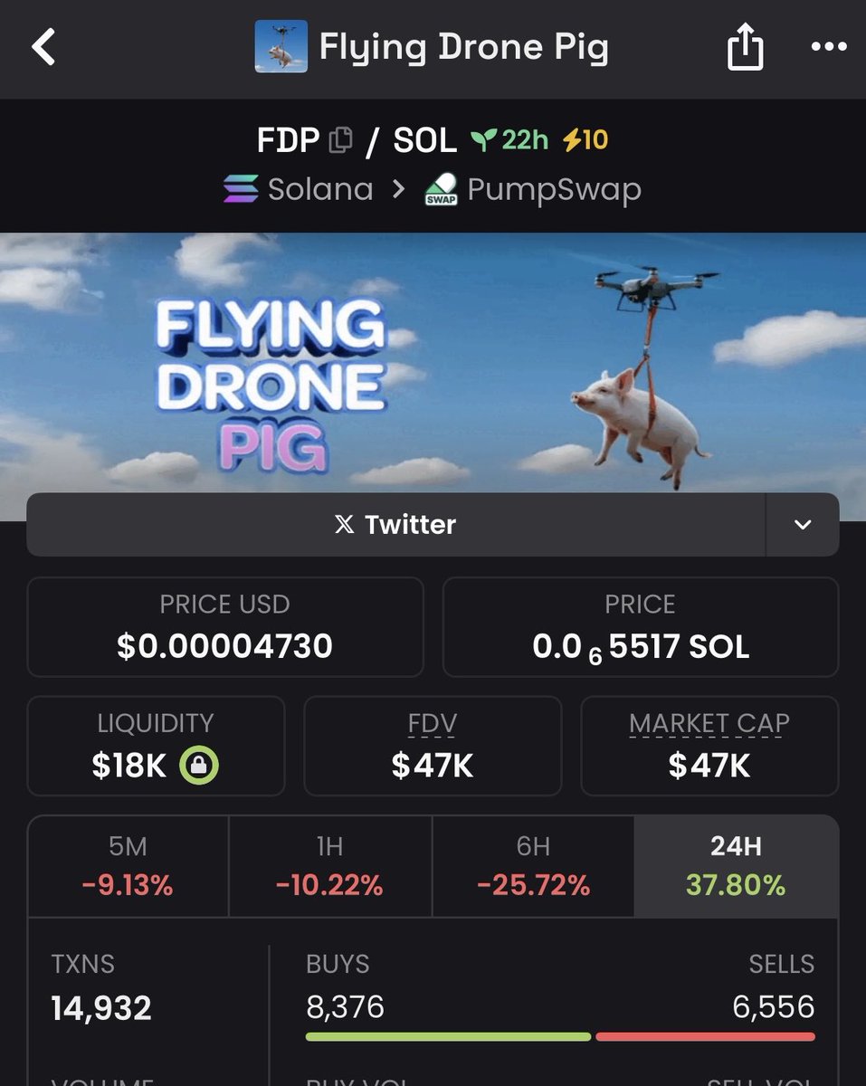 Yooo this is undervalued asf
$fdp can’t be  a 300k topper