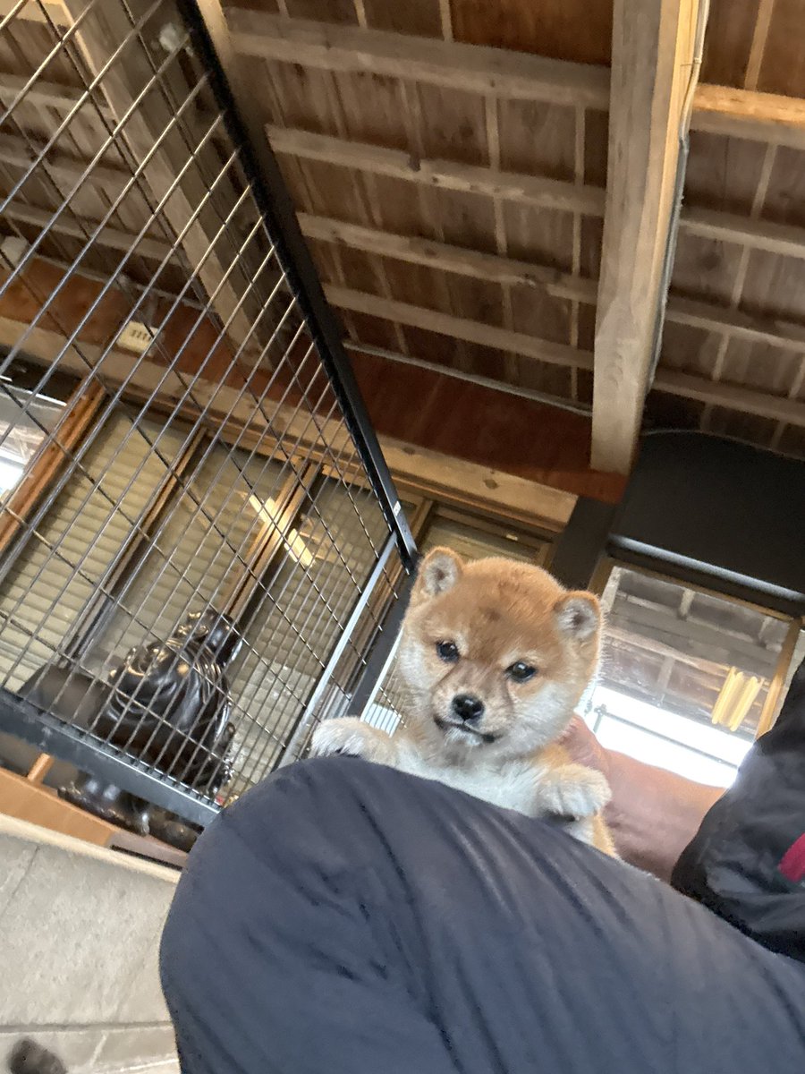 河バターチキンカレー(・ⅹ・） (@19971120Suki) / Posts / X