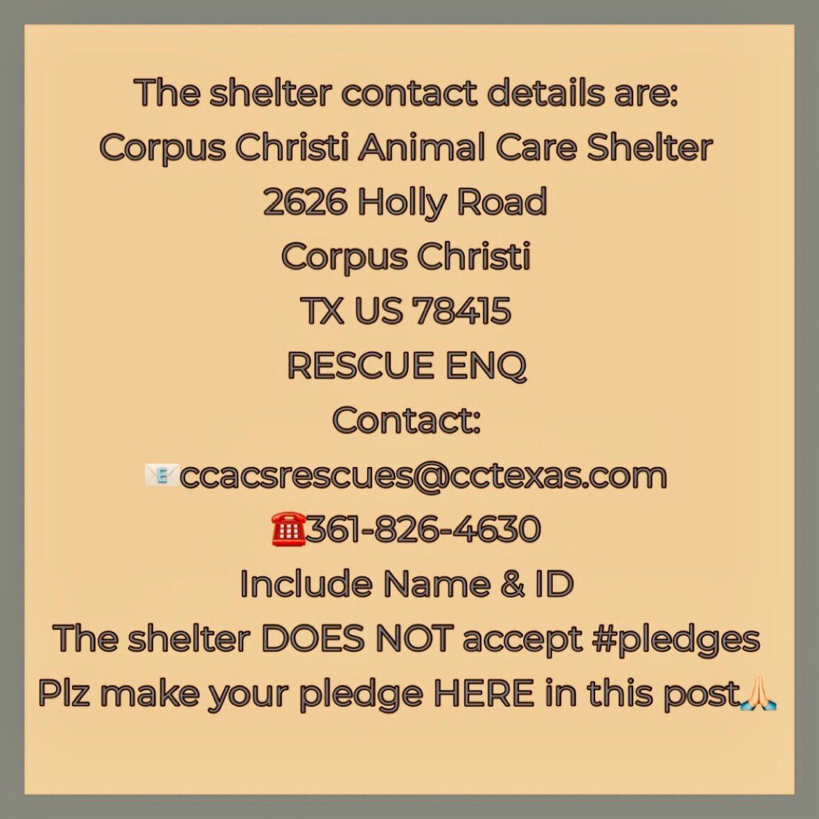 SamfromSpain's tweet image. Begging 4 help 4 KIPPER #A384637!
He shudn’t continue without vet care‼️
Femoral fracture
HW+(curable)
Plz save him from death @ Corpus Christi AC
They can put him down @ the spur of the moment‼️
PLEDGES NEEDED 4 #RESCUE
#FOSTER
#ADOPT
This sweet boy doesn’t deserve 2 die!