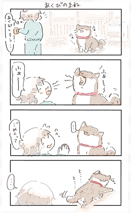 #4コマ漫画 #柴犬 
あくびのまね 