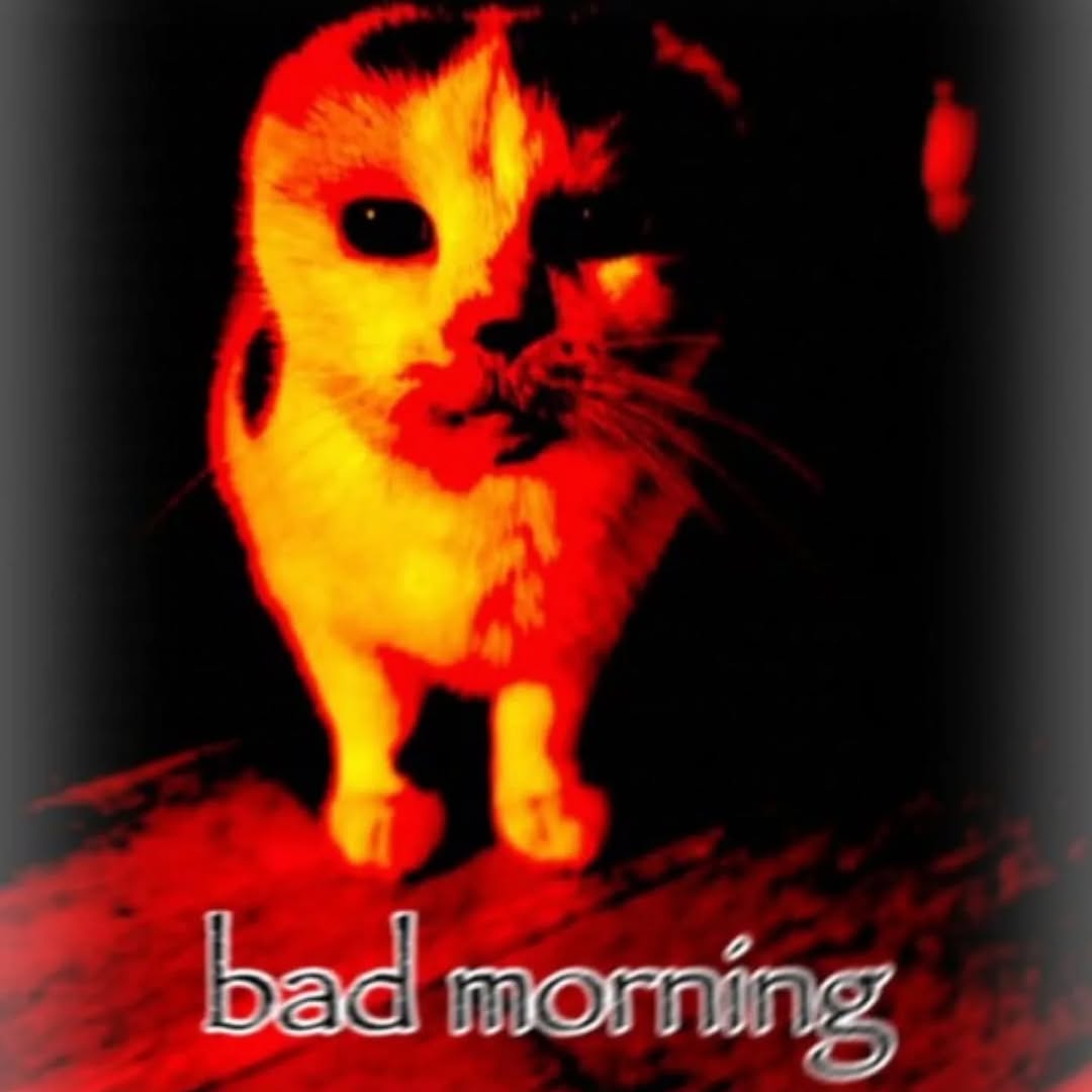 Я, коли проспав половину денної норми електрохарчування.