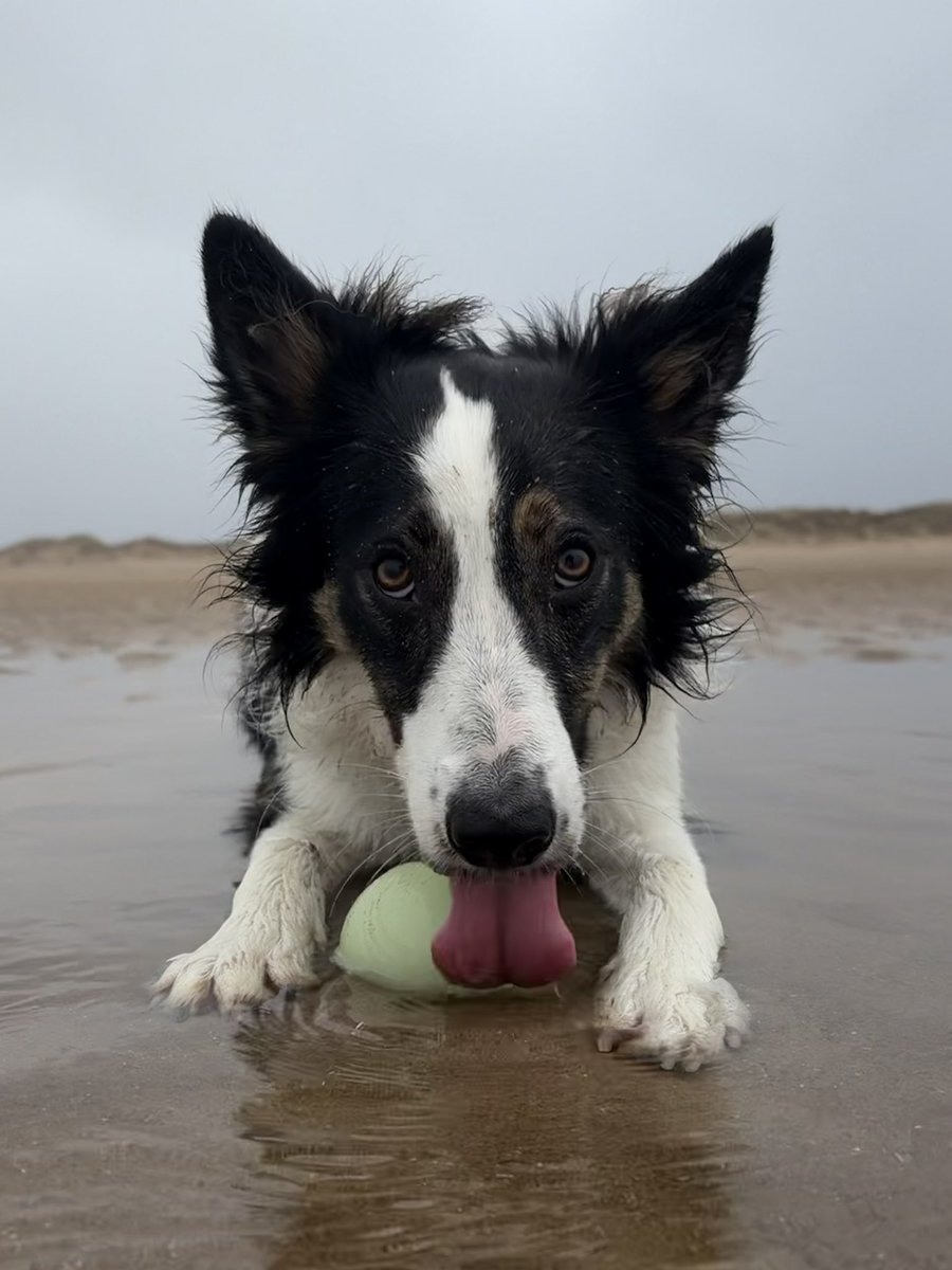 Puppy Bess and Auntie Kes tweet media