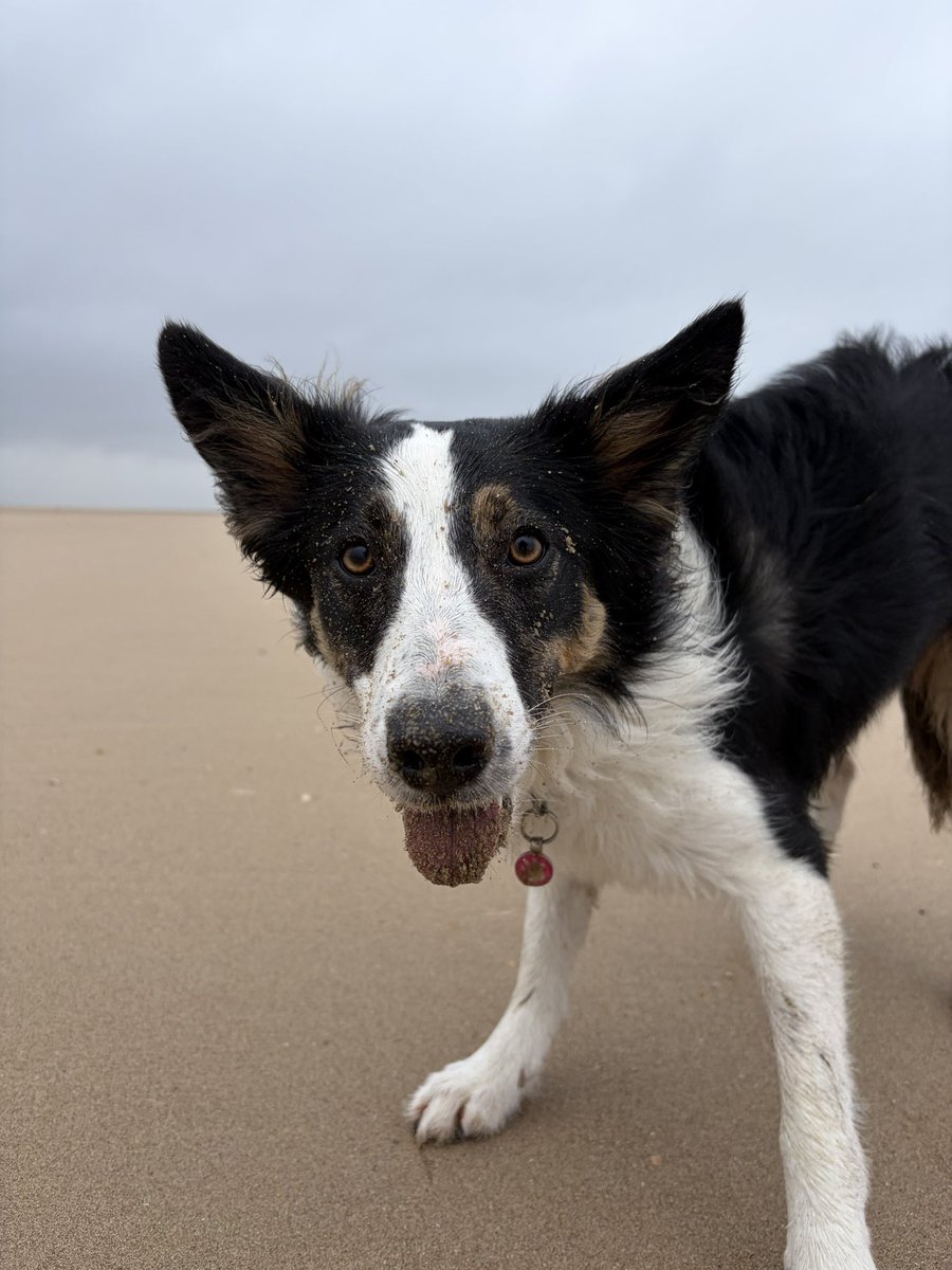 Puppy Bess and Auntie Kes tweet media