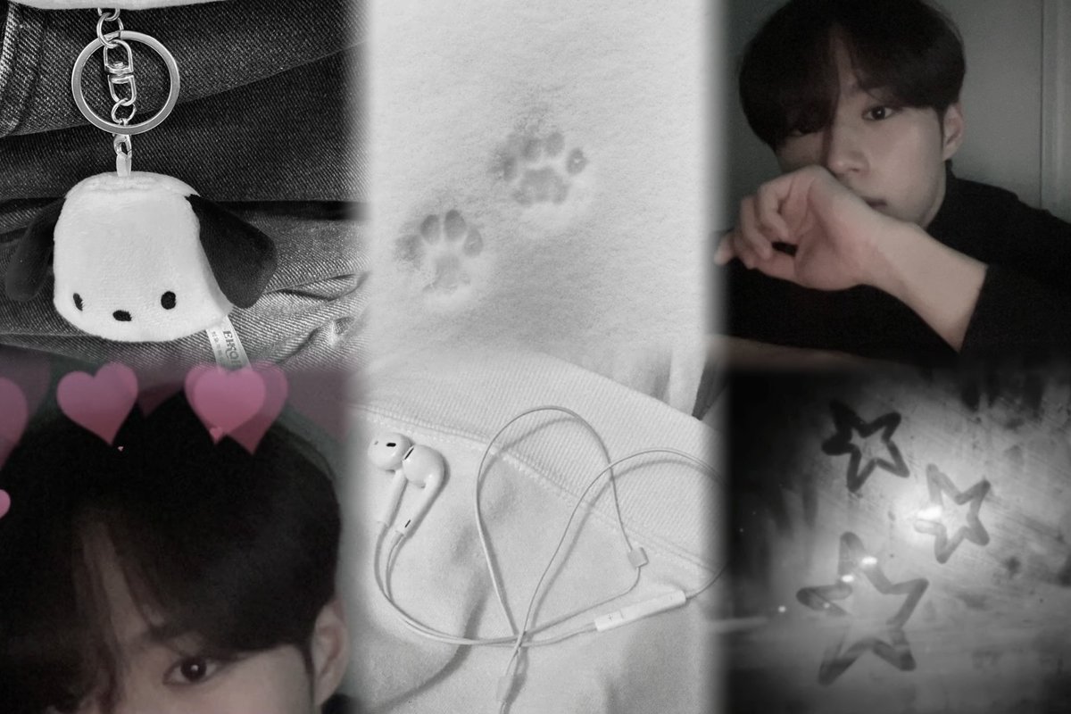 𝗄𝗈𝗇𝖺𝗍𝗌𝗎 tweet media