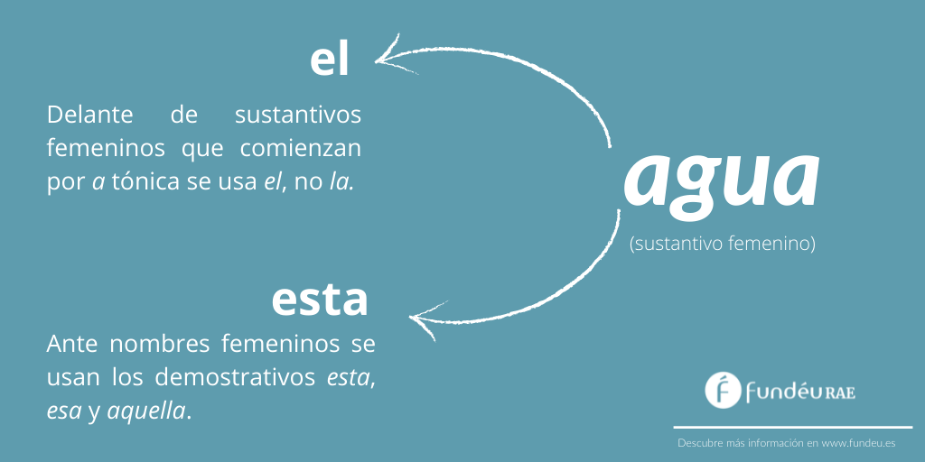 Netámbulo 🦉 (Juanan) tweet media