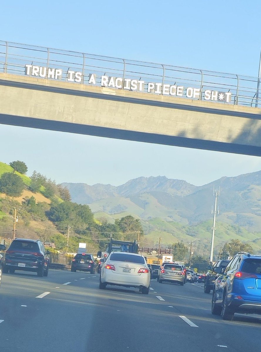 ML3democrats's tweet photo. Good morning ☀️ I approve this message ⬇️ https://t.co/b6yLvkoJo0