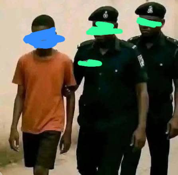 toshine🇨🇦 tweet media