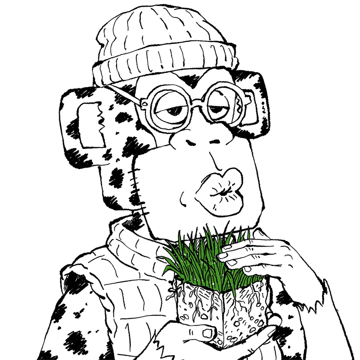 apes by accident tweet media