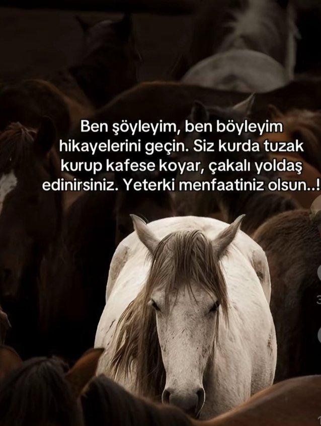 Osman Koç (@osmankoc65) on Twitter photo 