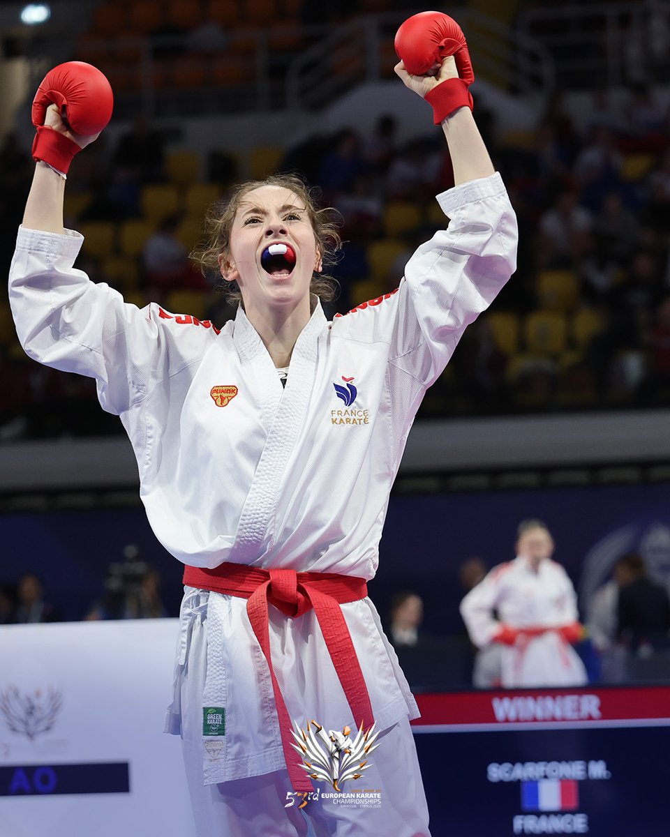 FFKaraté tweet media