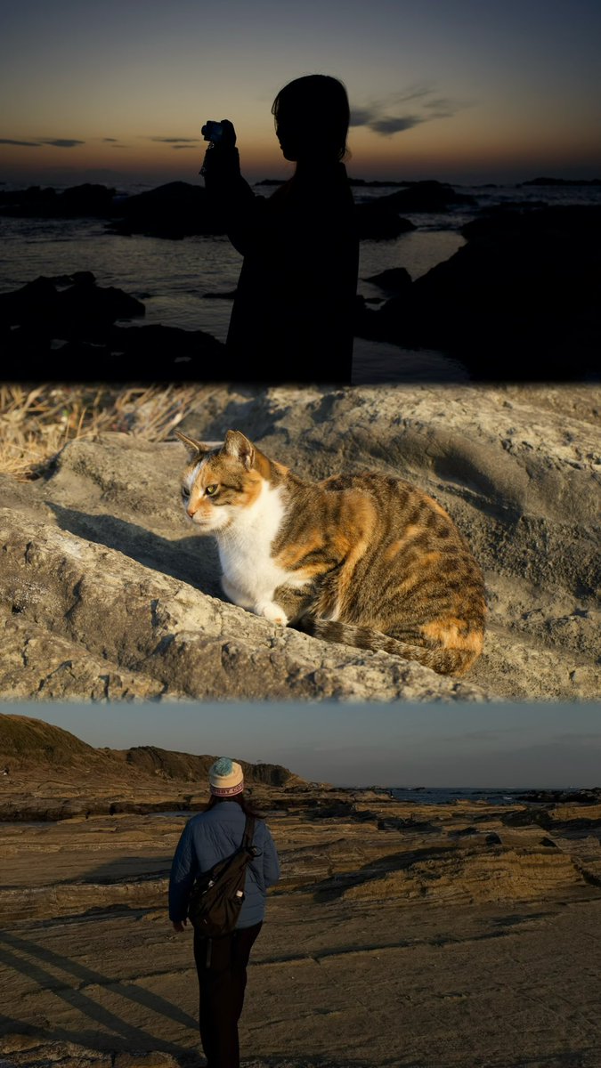 フッ軽で水族館と城ヶ島行ってきた🚗³₃