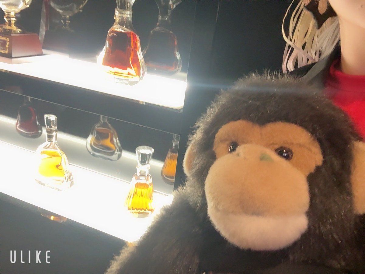 今日はテンくんでぼちゅをNo.1にする為に姫になってきました🫶
 #mad伝説0207